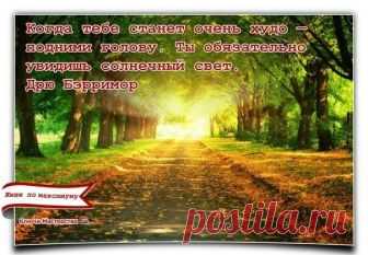 «Когда тебе станет очень худо — подними голову. Ты обязательно увидишь солнечный свет.» Дрю Берримор