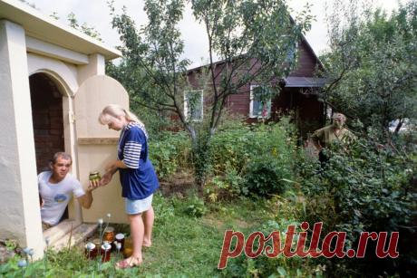 В налоговой службе разъяснили, нужно ли платить за теплицы | Выживи сам