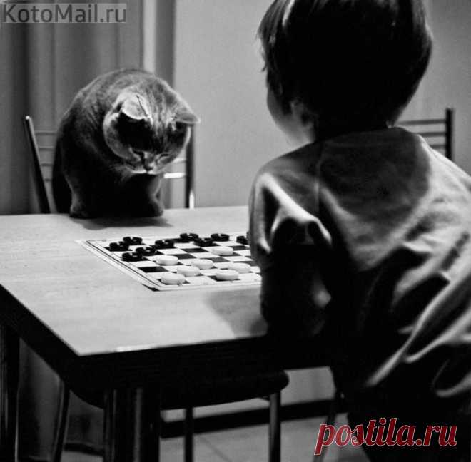 Лучшее | KotoMail.ru