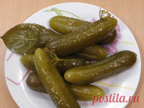 КВАШЕННЫЕ ОГУРЦЫ В БАНКЕ НА ЗИМУ | Самые вкусные кулинарные рецепты