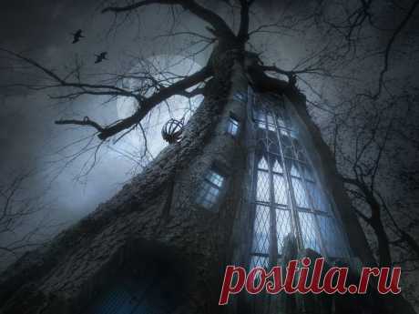 Приворот, оказывая влияния на чувства и создавая любовное притяжение, проявляется так, как человек в нормальной обстановке показывает и проявляет свои чувства. Представьте, что ваш избранник влюблен в вас – что он сделает и как будет поступать? А теперь усильте эти проявления раз в десять (при сильных приворотах еще больше). Тогда вы получите нормальную картину проявления приворота.