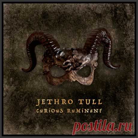 Download Jethro Tull - Curious Ruminant (2025) [24Bit] Artist: Jethro Tull Album: Curious Ruminant Year of release: 2025 Genre: Progressive Rock / Prog Folk Country: UK Format:  FLAC (tracks, 24bit) Size:  618 Mb