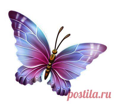 Картинки для творчества | 1 772 фотографии | ВКонтакте