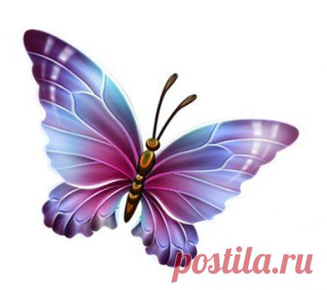 Картинки для творчества | 1 772 фотографии | ВКонтакте