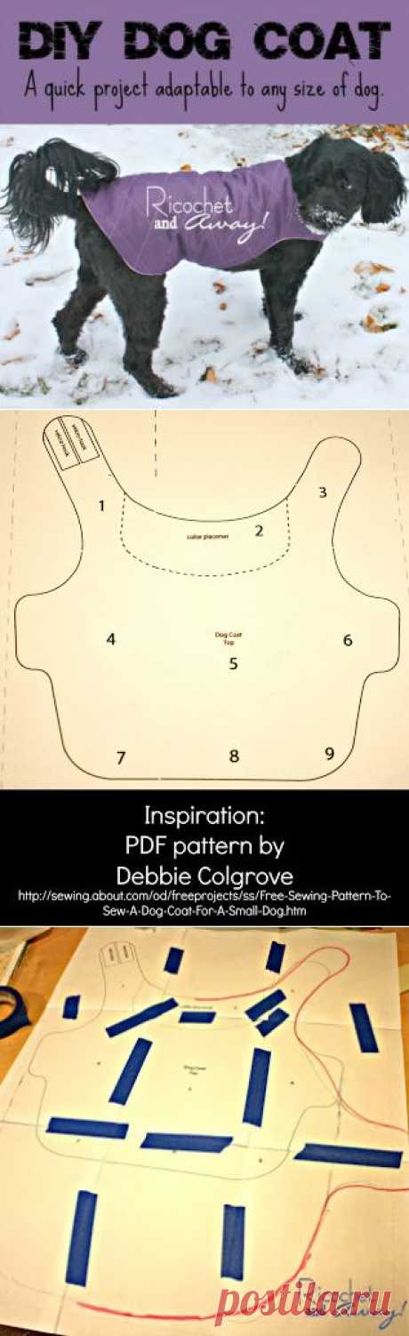 Рикошет и выезде !: DIY собак Coat