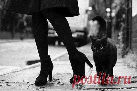 Хотите сделать мне больно? Не получится. Даже не пробуйте. Поберегите свои нервы. У меня давно выработался иммунитет к дуракам, идиотам и сплетникам.