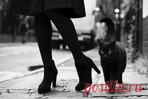 Хотите сделать мне больно? Не получится. Даже не пробуйте. Поберегите свои нервы. У меня давно выработался иммунитет к дуракам, идиотам и сплетникам.