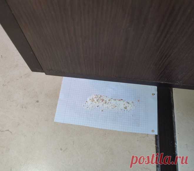Мы давно уже забыли про тараканов дома и на даче. Покажу гениальный способ, нужен всего один ингридиент и вода | 1500 полезных советов и лайфхаков в ведении домашнего хозяйства | Дзен