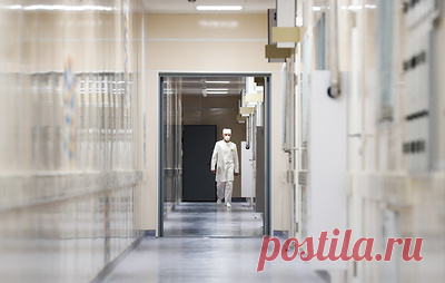 В Приморье заработали три новых медучреждения по нацпроекту. Среди них детская поликлиника и два современных фельдшерско-акушерских пункта