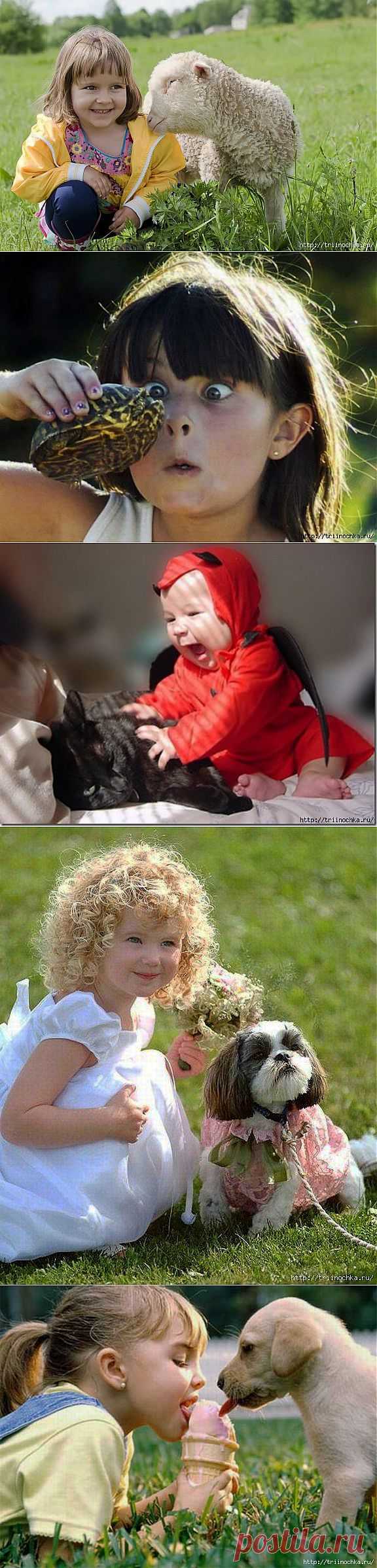 Наши милые любимые детишки с животными!!! Просто супер!!! | 5минутка