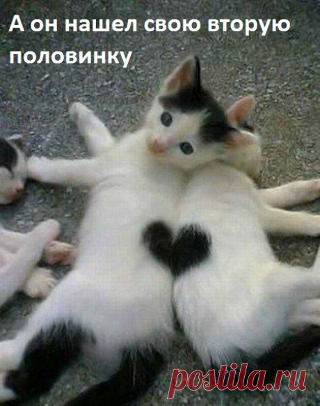 Нашли друг друга.