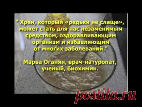 "Великолепный хрен" - рецепт Марвы Оганян от всех хронических болезней.