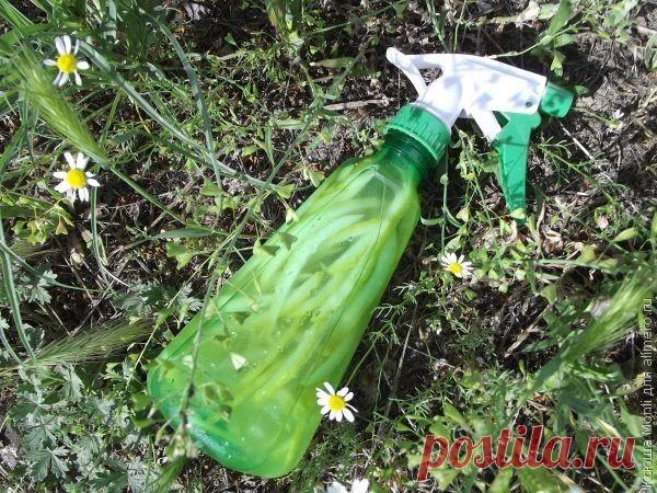 Цитрусовый спрей-ароматизатор воздуха