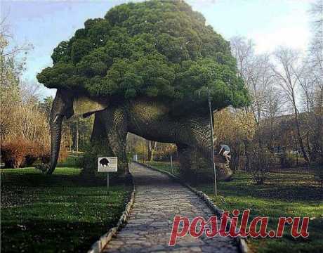 Мой Мир@Mail.Ru