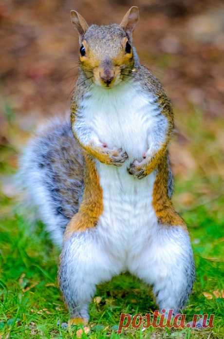 StudioView You shall not PAAASS!! by Rotherz67 ( 500,000+ views, thank u all ) on Flickr.