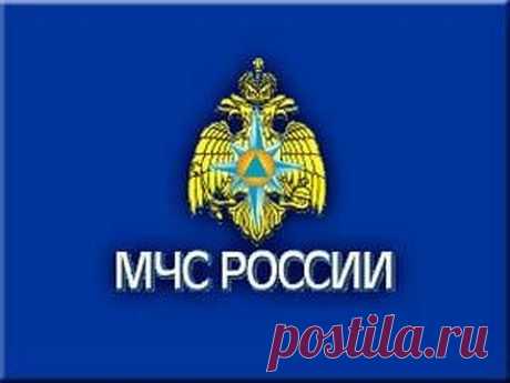 Школьник из Омской области спас двоих утопающих - Новости Социум - Новости Омска и Омской области - Вечерний Омск