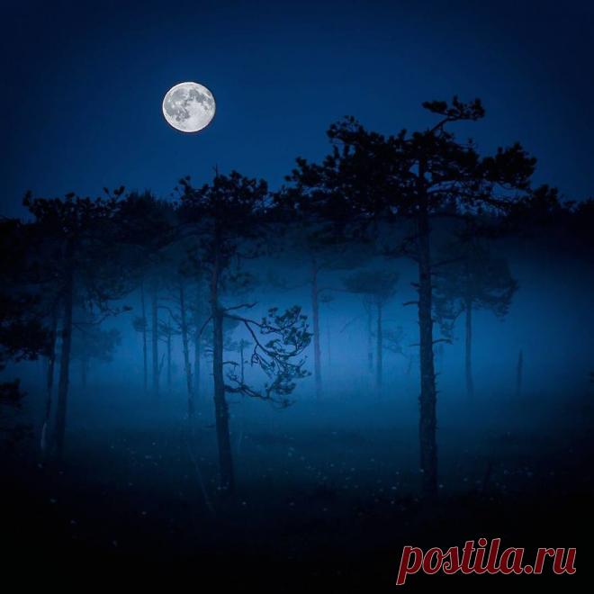 После этих фото вы влюбитесь в Финляндию | КТО?ЧТО?ГДЕ?