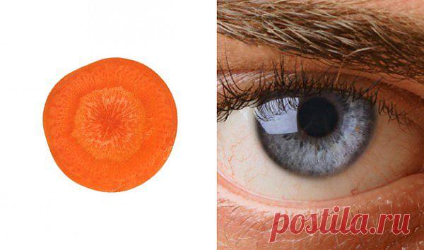 Еда полезна для той части тела, на которую похожа