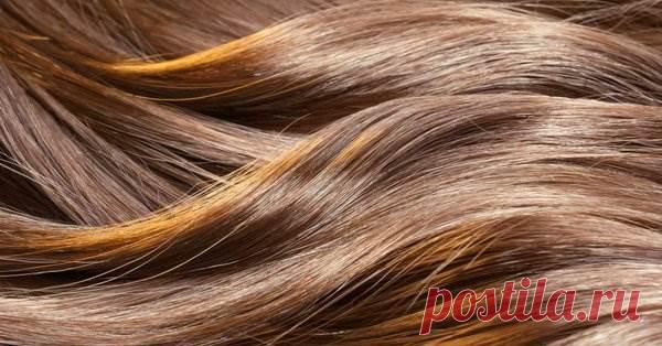 Почему волосы быстро теряют свежесть —  12 распространённых причин. И что с этим делать | Люблю Себя