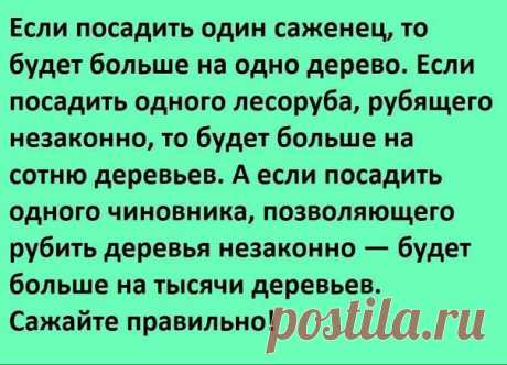 Садоводы Перми и Пермского края