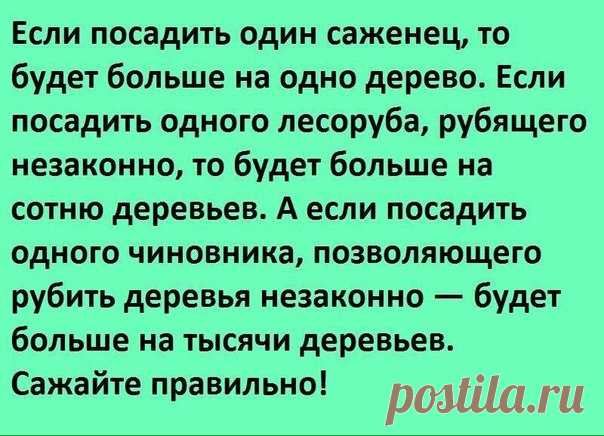 Садоводы Перми и Пермского края