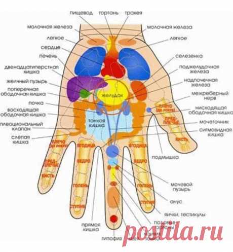 Расслабить ноги, быстрее заснуть и даже пищеварению помочь, а вы массируете безымянные пальцы рук | Healthy | Дзен