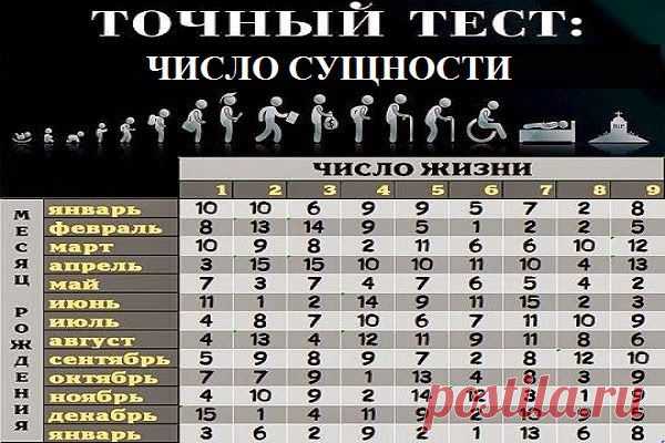 Всё самое интересное!: ЧИСЛО СУЩНОСТИ