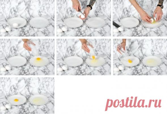 Семь кулинарных чудес / Домоседы