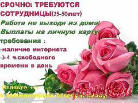 На фото друзей
