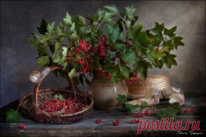 30 невероятно нежных натюрмортов изумительной красоты | Изюминки