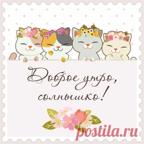 Открытка доброе утро, солнышко с кошками. Привет, я автор этой открытки Анна Кузнецова.
Если вам понравилась картинка, то на сайте СанПик вы найдёте сотни открыток для WhatsApp и Viber на все случаи жизни моей работы.