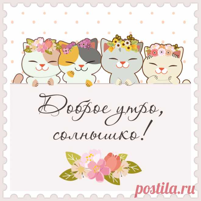 Открытка доброе утро, солнышко с кошками. Привет, я автор этой открытки Анна Кузнецова.
Если вам понравилась картинка, то на сайте СанПик вы найдёте сотни открыток для WhatsApp и Viber на все случаи жизни моей работы.