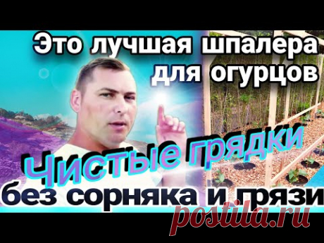 Огород без грязи и сорняка / Супер шпалера для огурцов