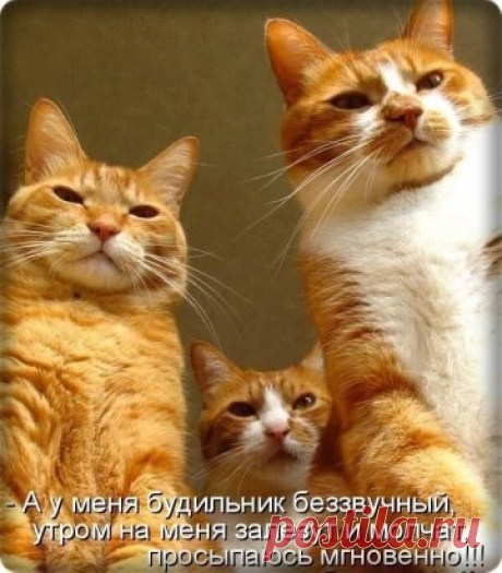 беззвучный будильник