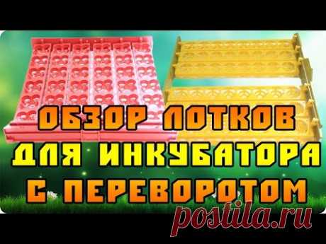 Обзор 2-х типов лотков для автоматического инкубатора (авто переворот яиц)