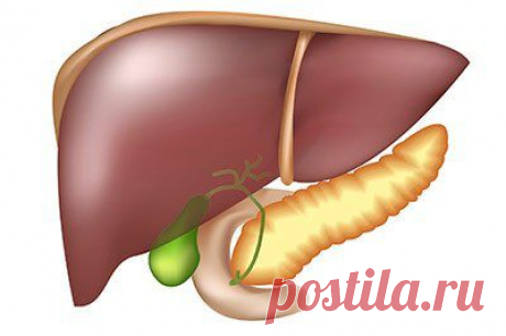 ЦИРРОЗ ПЕЧЕНИ - профилактика, как лечить. | Human psychology