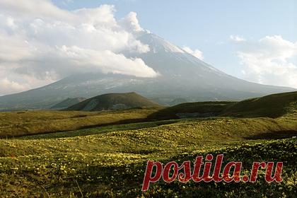 Россиянин всю ночь охранял тело погибшего на Камчатке депутата. Российский турист провел ночь рядом с телом депутата из Красноярска, который погиб, сорвавшись с Ключевского вулкана на Камчатке. Так, участник туристической группы по восхождению по имени Владимир спустился спасать упавших путешественников и застрял с телом одного из них.