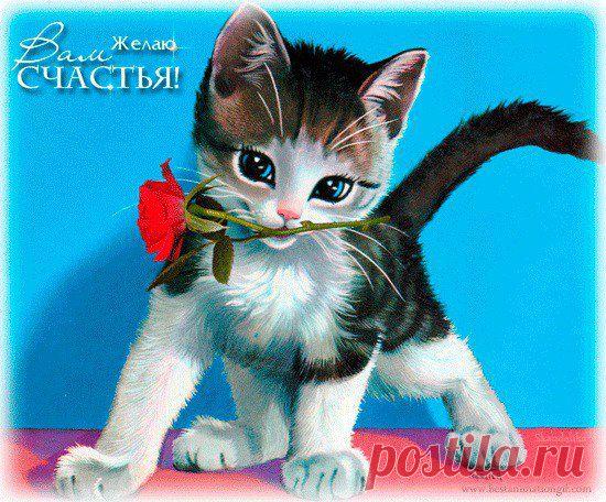 Интересные новости