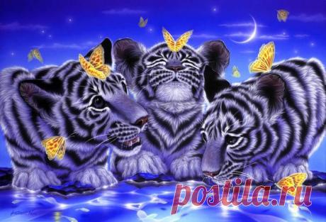Фантастический мир дикой природы