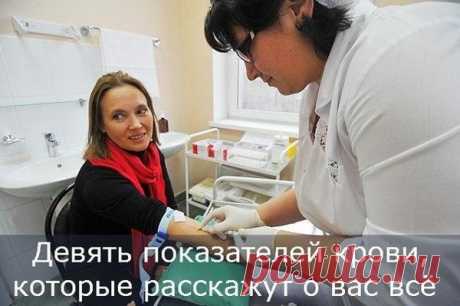 Зоя Пестова - Сысерть, Свердловская обл., Россия, 64 года на Мой Мир@Mail.ru