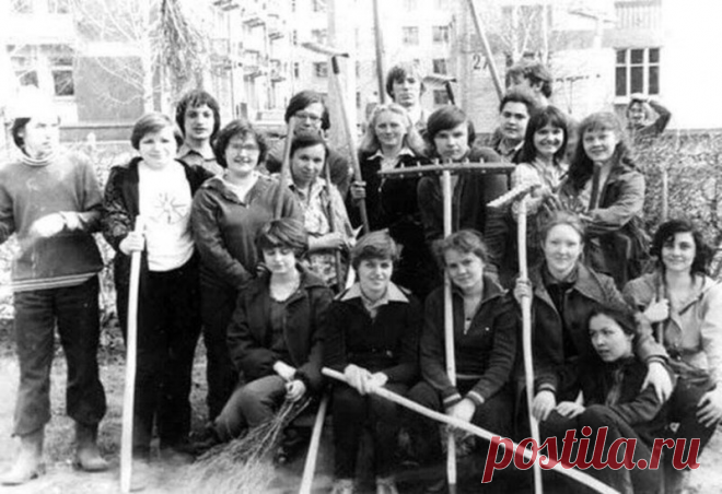 Любопытные, забавные, теплые фотографии из СССР. | ПО СЛЕДАМ СССР | Яндекс Дзен