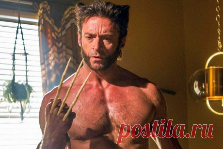 Любящий муж, трудоголик и спекулянт: 15 фактов о Хью Джекмане | Кино | Time Out