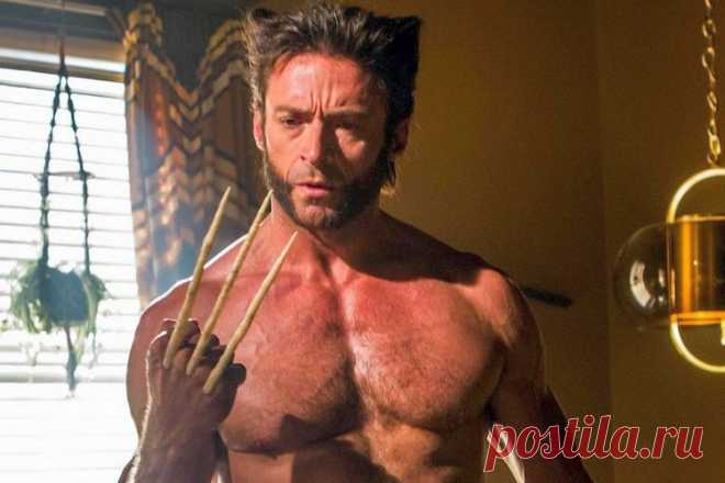 Любящий муж, трудоголик и спекулянт: 15 фактов о Хью Джекмане | Кино | Time Out