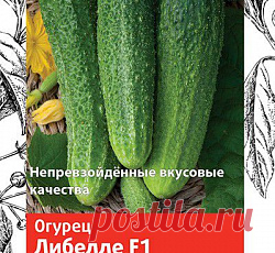Огурец Либелле F1 семена - низкая цена, описание, отзывы, продажа