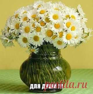 да и для здоровья!!!