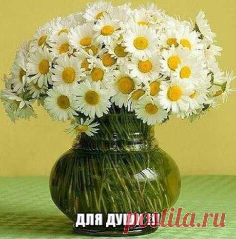 да и для здоровья!!!