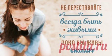 Не переставайте всегда быть живыми пока вы живы Источник:... | Интересный контент в группе Народные советы