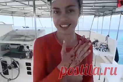 Акула-нянька едва не откусила пальцы россиянке на любимом курорте богачей