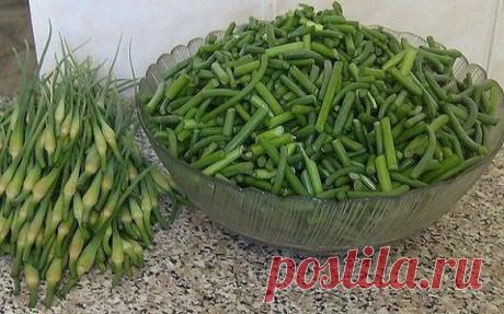 Салат из стрелок чеснока по-корейски
Очень вкусный салат из стрелок чеснока по-корейски! Его еще называют Хе из чесночных стрелок. Яркий, острый, пробуждающий аппетит и вкус к жизни! Готовить острые чесночные стрелки очень просто и быстро.
Ингредиенты:
чесночные стрелки — 2-3 пучка
Морковь — 1 шт.
Чеснок — 2-3 зубчика
Уксус столовый (6%, лучше яблочный или винный) — 1 ч.л.
Сахар — 0,5 ч.л.
Лавровый лист — 3-4 шт.
Приправа для корейской моркови — 1 ст.л. (перец чили, молотый кориандр, 
паприка