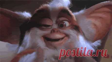 (49) Одноклассникиhttps://postila.ru/post/35728041